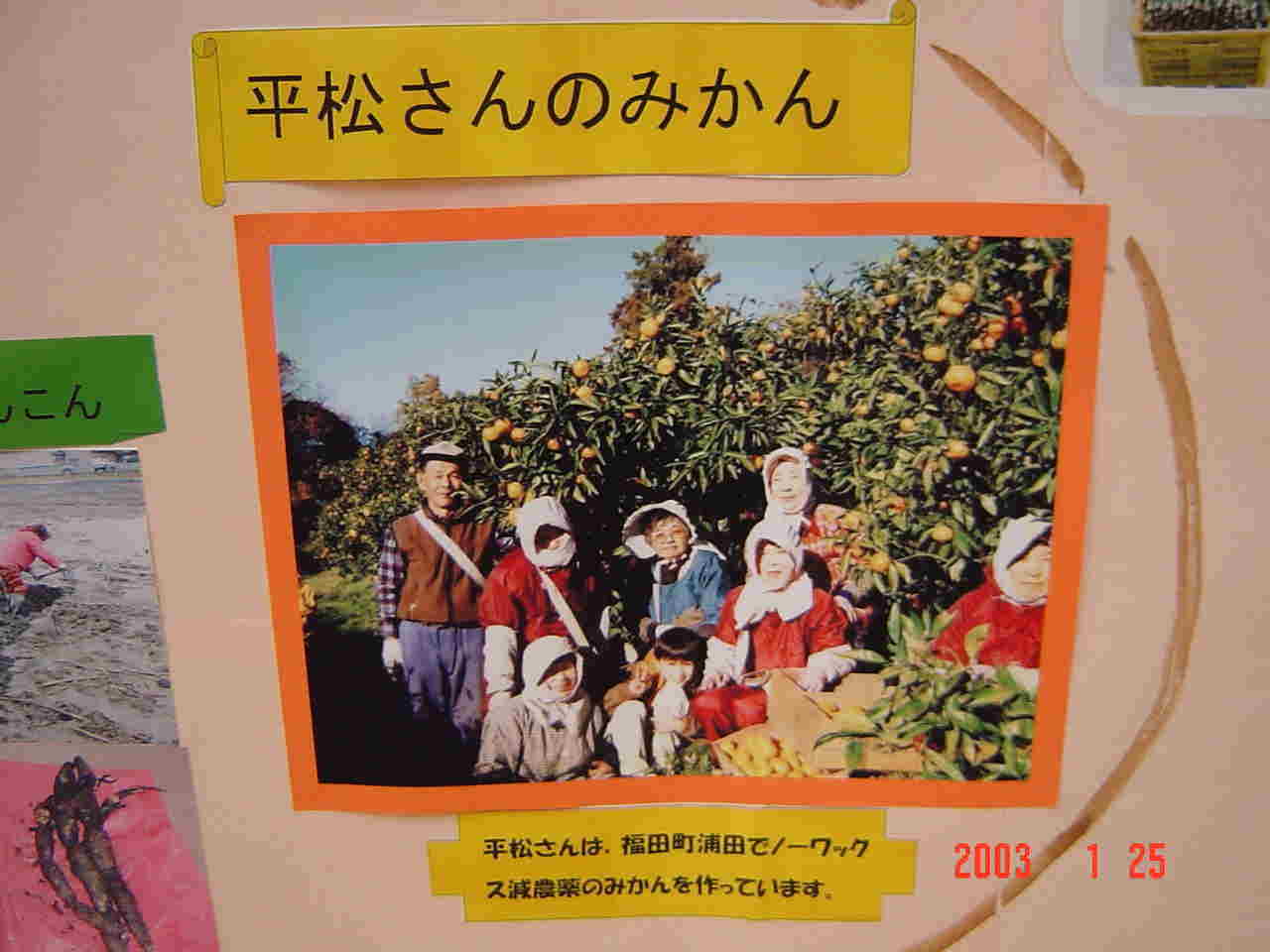 Љꂽpl