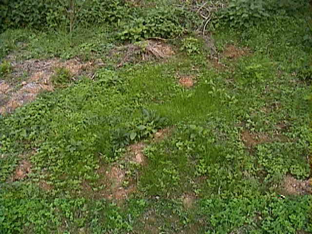 �P������