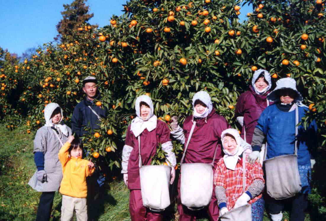 ���n����